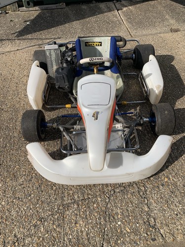 125cc racing kart mit rotax - racing,