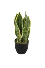 Kunstpflanze Bogenhanf