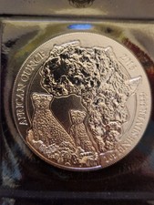 African Ounce 2013 – Gepard