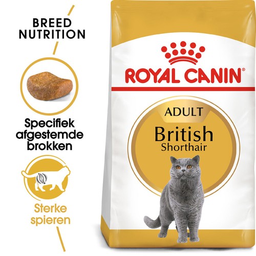 Royal canin britisch kurzhaar - royal,