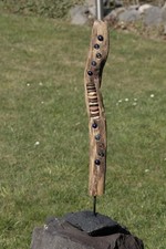 Treibholz - Schwemmholz