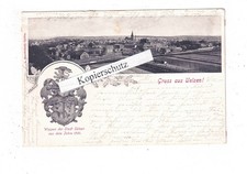 AK Gruss aus Uelzen, Wappen, Ortsansicht, 1900