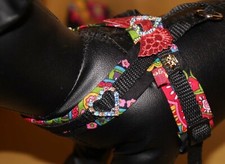 8424_Angeldog_Hundegeschirr_So