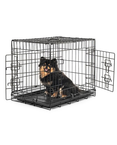Ware lionto - b-ware:,
