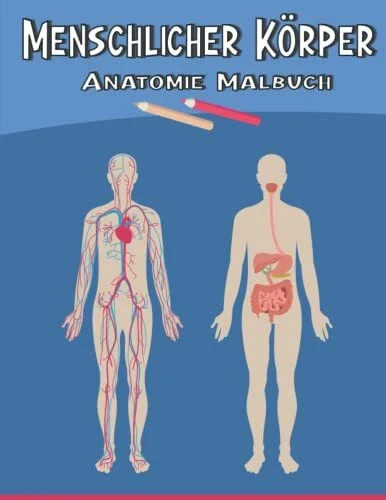 Menschlicher körper anatomie - menschlicher, körper: