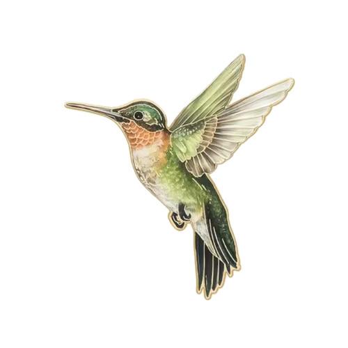 Grüner kolibri anstecker - kolibri,