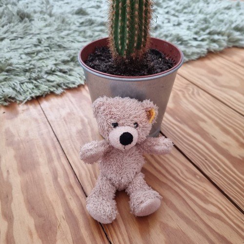 Steiff mini teddybär teddy - steiff, 12
