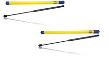 2 x MAGNETI MARELLI Gasfeder