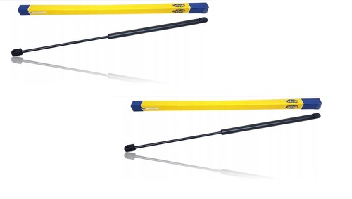 Magneti marelli gasfeder - 2,