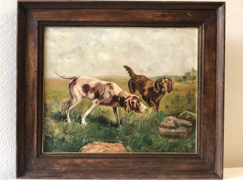 Jagdhunde english pointer - jagdhunde,
