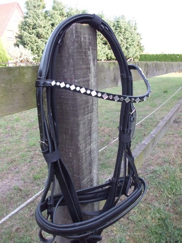 Full warmblut trense - /,