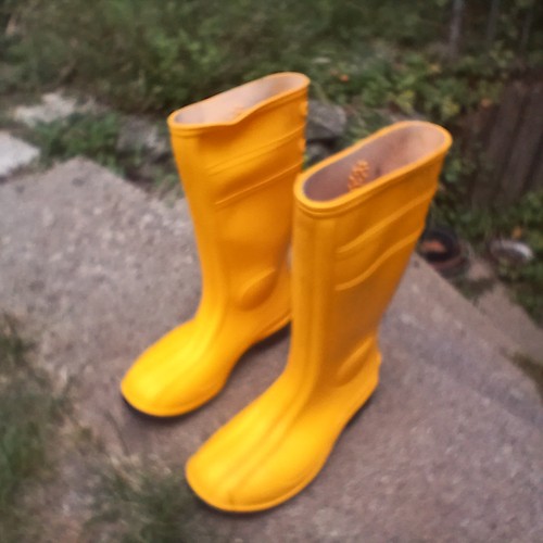 Phoenix sicherheitsstiefel - phoenix,