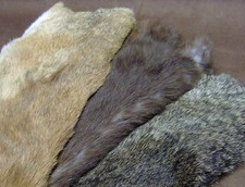 Kaninchenfell pelz hasen fell - hasen,