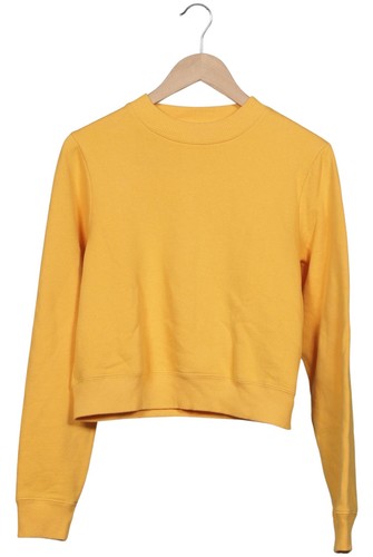 Hollister sweater damen - hollister,