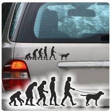 Labrador Evolution Auto Aufkleber Autoaufkleber Sticker Hundeaufkleber A3032