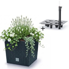 Blumentopf 6cm mit einsatz - blumentopf,