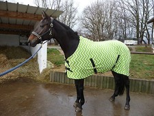 MICROFLEECE-ABSCHWITZDECKE