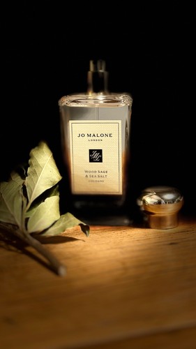Malone wood sage - -,