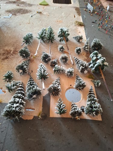 Busch noch schneetannen - noch,