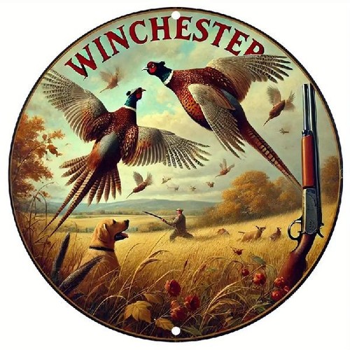 Blechschild rund winchester - blechschild,