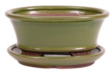 Bonsai - Schale oval 16 x 13 x