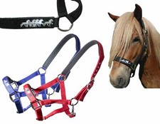 Isländer - Karlslund festes