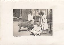 Köln AK uralt Tiere Familie