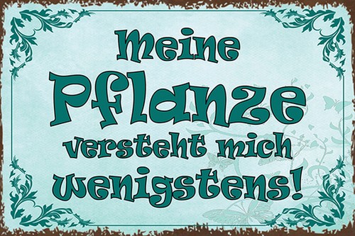 Blechschild 18x12 meine