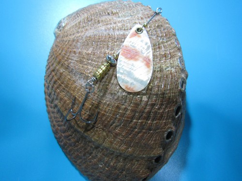 Spinner blinker abalone - spinner,, blinker,