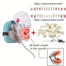 Zahnarzt Praxistraining Kopf
