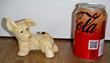 Wunderschöner Goebel Terrier Hund mit einer Fliege am Schwanz ~ Germany ~ TOP