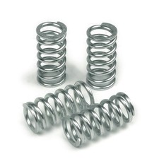 TRW Kupplungsfedern (für: Honda NSR 125 R JC22 97-03 )