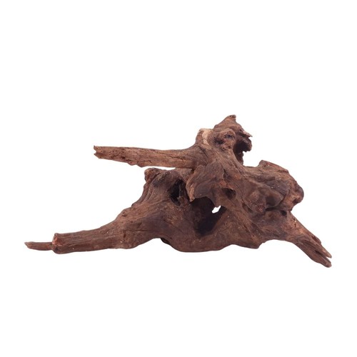 Driftwood flußwurzel - m,