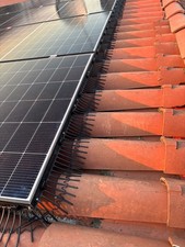 PV SolarSafe Vogelschutz