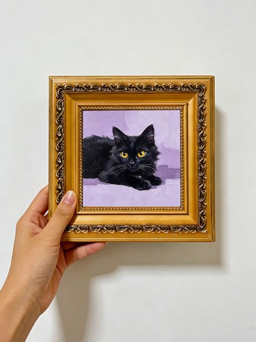 Liegende flauschige schwarze