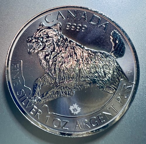 1oz maple leaf - leaf, 1988