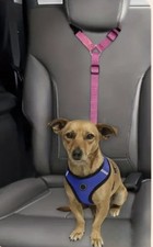 Autosicherungsgurt für Hunde