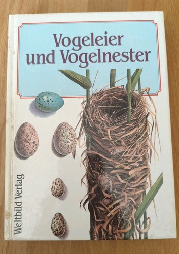 Vogeleier und vogelnester - vogeleier,