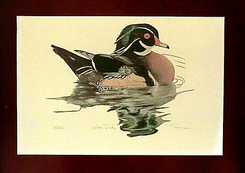 Künstlerlithographie
