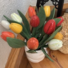 12 Holland Holztulpen Tulpen