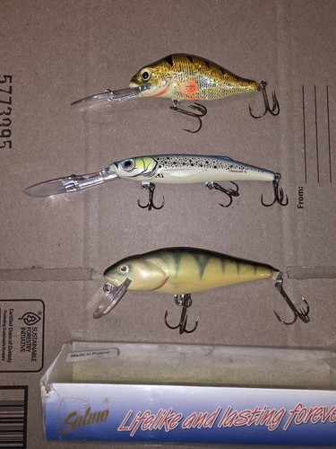 Salmo lure lot and - salmo, of