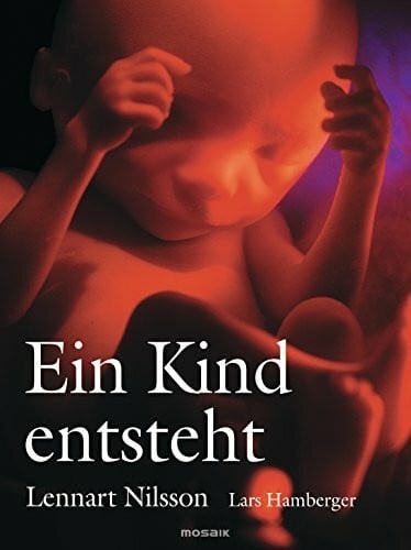Ein kind entsteht buch mosaik - ein,
