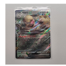 Pokémon letarking double - pokémon,