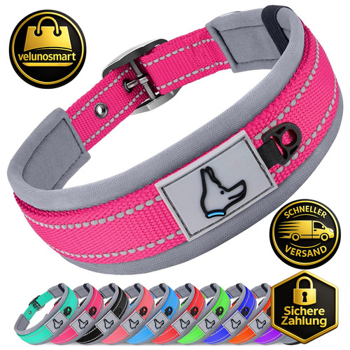 Halsband hund gepolstert - hund,