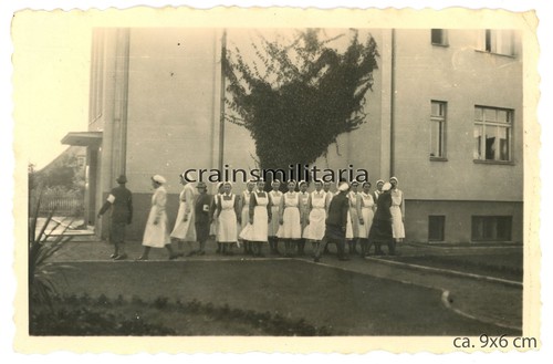 Orig foto drk schwester in - drk,