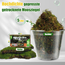 GOTVUGE Sphagnum Moss for