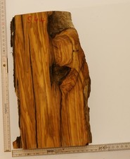 Olivenholz Epoxid Holz 5cm