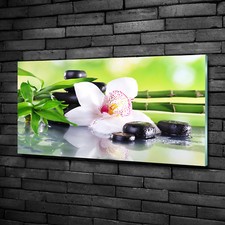 Wandbild Glas-Bild Druck auf