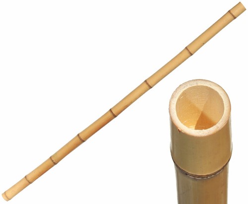 Bambusrohr gelb moso bambus - bambusrohr,