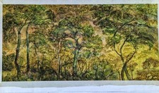 Tropischer Wald (Yunga)